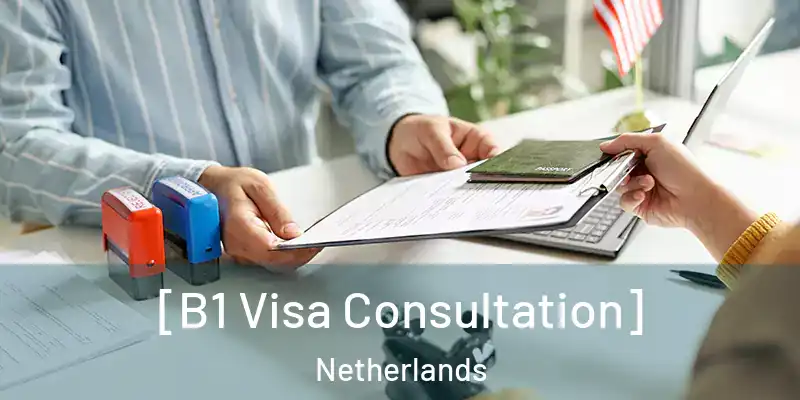  [B1 Visa Consultation] Netherlands