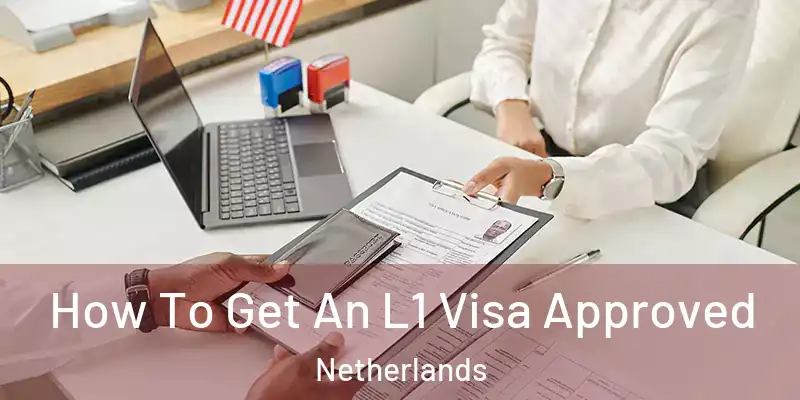  How To Get An L1 Visa Approved Netherlands