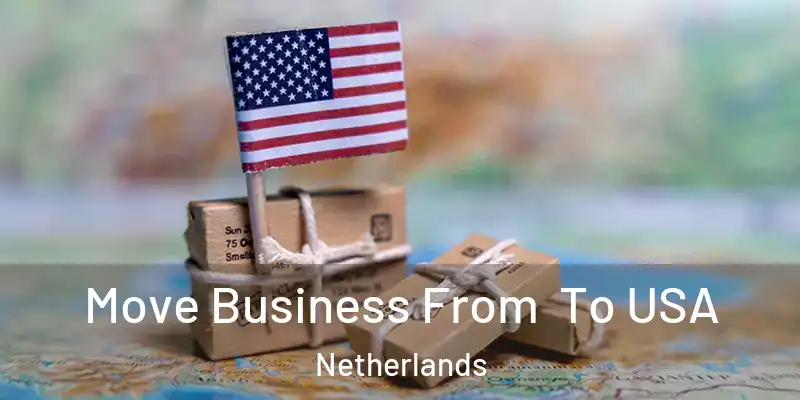  Move Business From To USA Netherlands